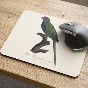 Monk Parakeet or Monk Parrot, Myiopsitta Monachus Mouse Pad