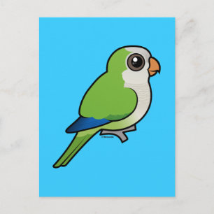 Monk Parakeet Postcard