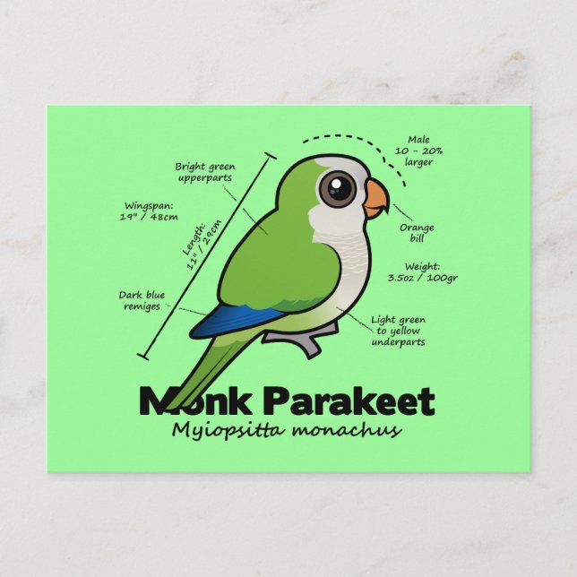 Monk Parakeet Statistics Postcard (Front)