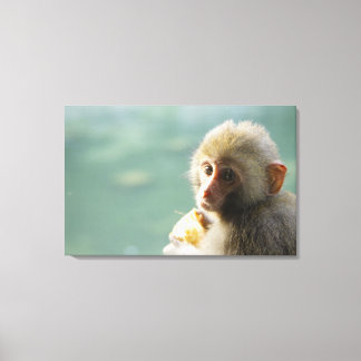 Monkey 3 canvas print