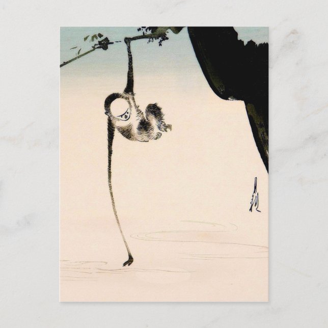 Monkey and the Moon Reflection Postcard (Front)