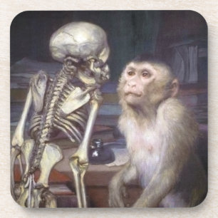 Monkey Before Skeleton Coaster