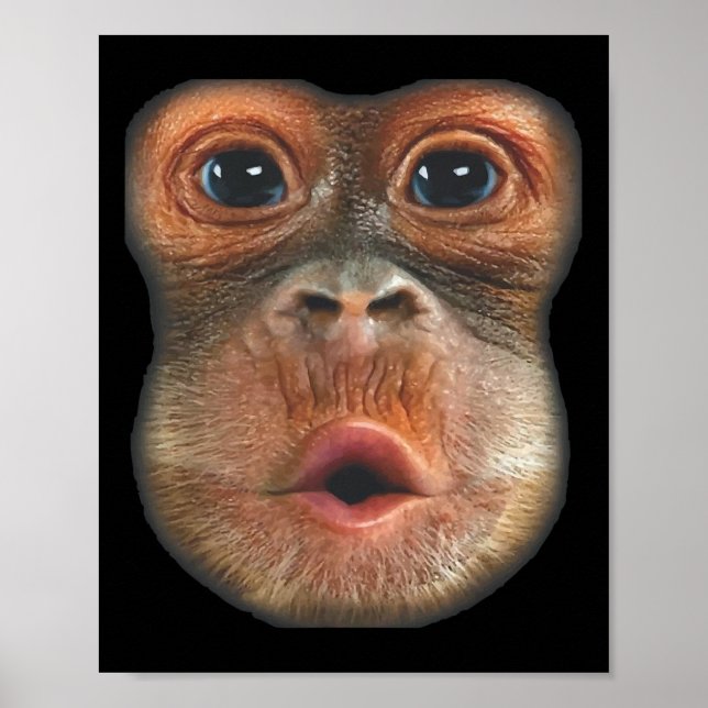 Monkey Blowing Stomach Face  Poster (Front)