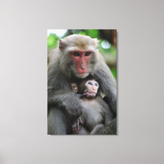 Monkey Breast Feeding Her Baby Canvas Print (Front)