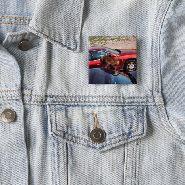 Monkey Business 15 Cm Square Badge (In Situ)