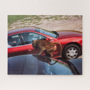 Monkey Business Jigsaw Puzzle