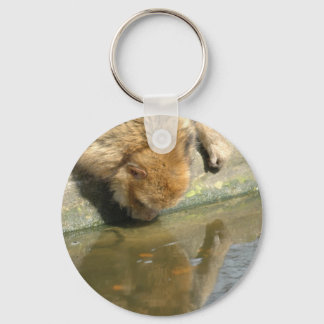 monkey business key ring
