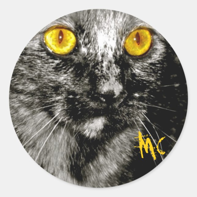 Monkey Cat Stickers (Front)