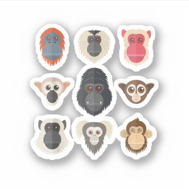 Monkey Chimpanzee Gorilla Spider Monkey Squirrel M (Front)