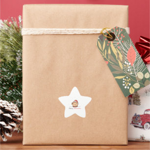 Monkey Christmas Snow Winter Animals Monkeys Star Sticker