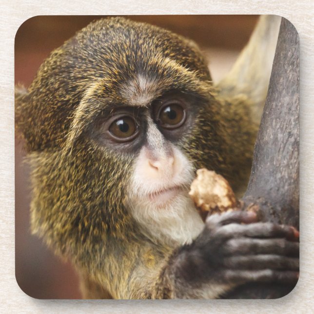 Monkey Climbing Tree Photo Coaster (Front)