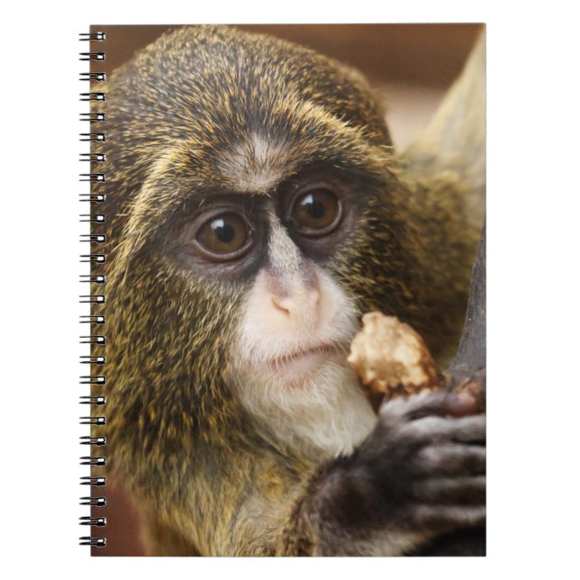 Monkey Climbing Tree Photo Notebook (Front)