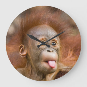 Monkey clock