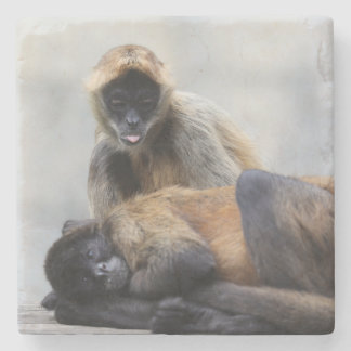 Monkey Coaster