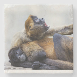 Monkey Coaster