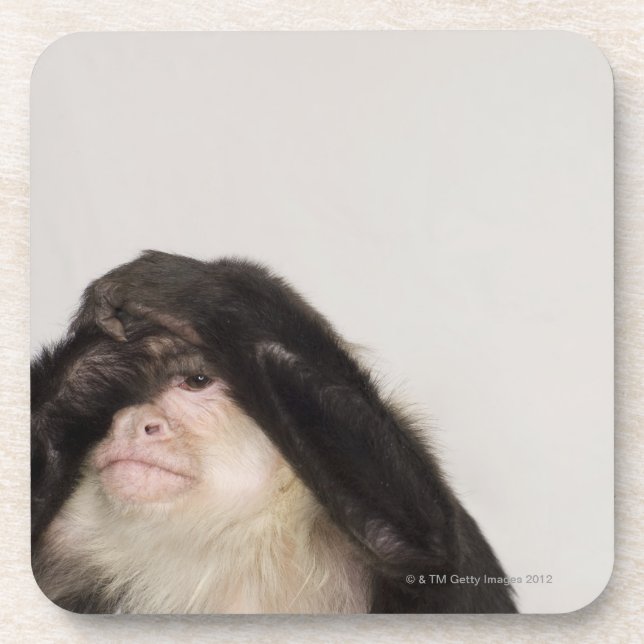 Monkey covering its eyes coaster (Front)