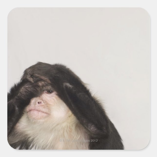 Monkey covering its eyes square sticker (Front)