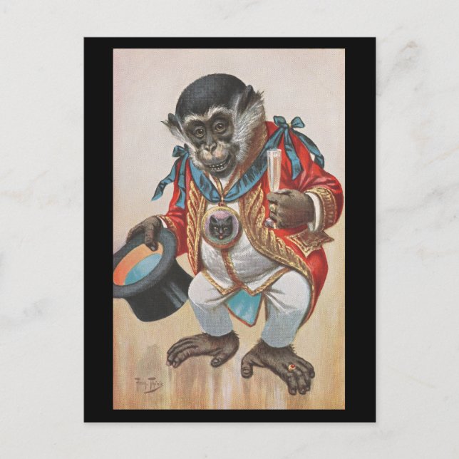 Monkey dressed up - vintage German postcard (Front)