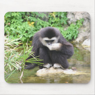 Monkey drinking mouse pad