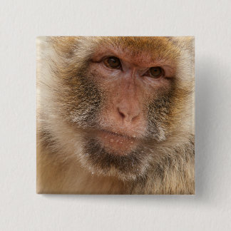Monkey Face Square Pin