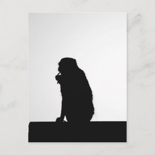 Monkey flossing silhouette photo postcard