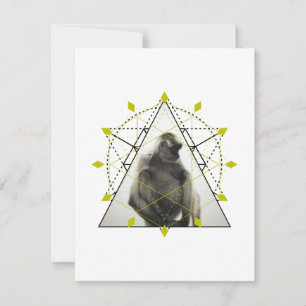 Monkey Geometry