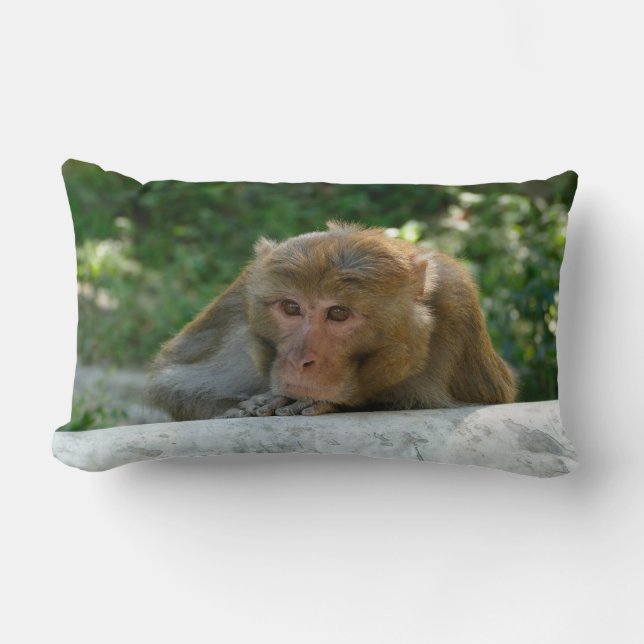 Monkey - Grandfather Lumbar Cushion (Front)