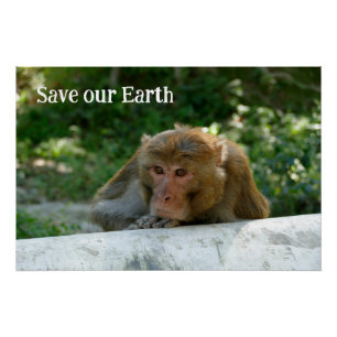 Monkey - Grandfather Poster