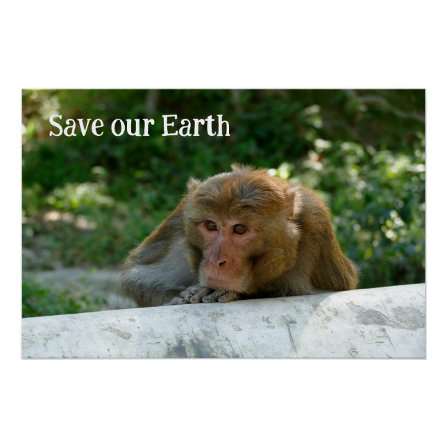 Monkey - Grandfather Poster (Front)