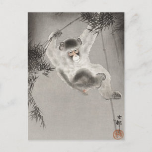 Monkey Hanging From Bamboo Branch, Koson, Animal Postcard