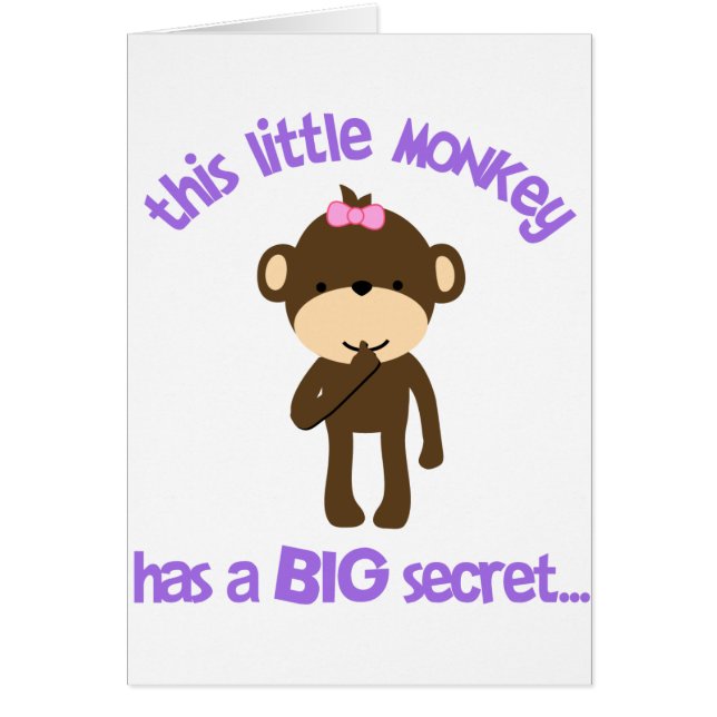 Monkey Has A Secret Big Sister (Front)