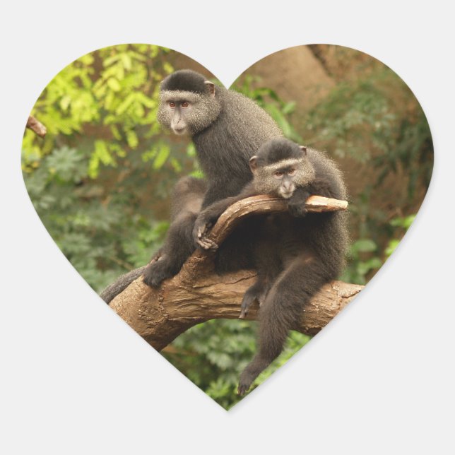 Monkey  Heart Sticker (Front)