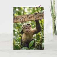 Monkey Holding a Happy Birthday Sign