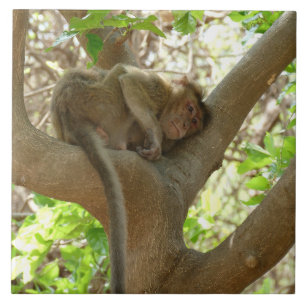 Monkey - I am sooo tired Tile