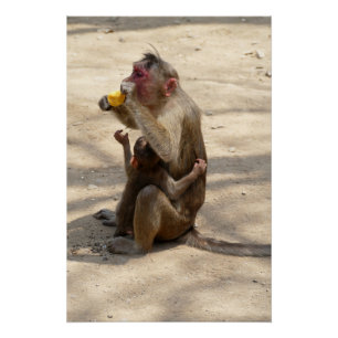 Monkey - I want somethin too Poster