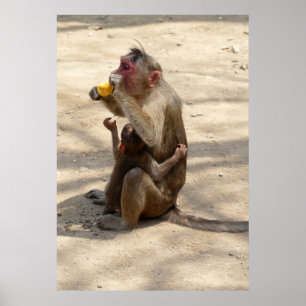 Monkey - I want somethin too Poster