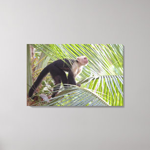 Monkey in Bamboo Jungle Photo Canvas Print