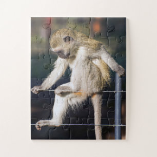 Monkey in deep thought jigsaw puzzle