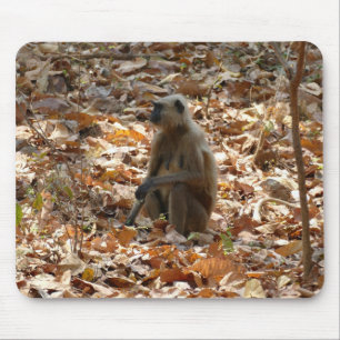 Monkey in Dry Season Mouse Pad