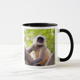 Monkey in jungle of Ranthambore National Park Mug