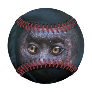Monkey in the Jungle Baseball