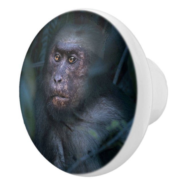 Monkey in the Jungle Ceramic Knob (Right)