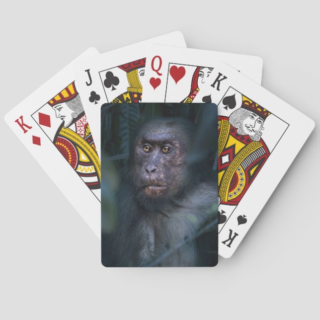 Monkey in the Jungle Playing Cards (Back)