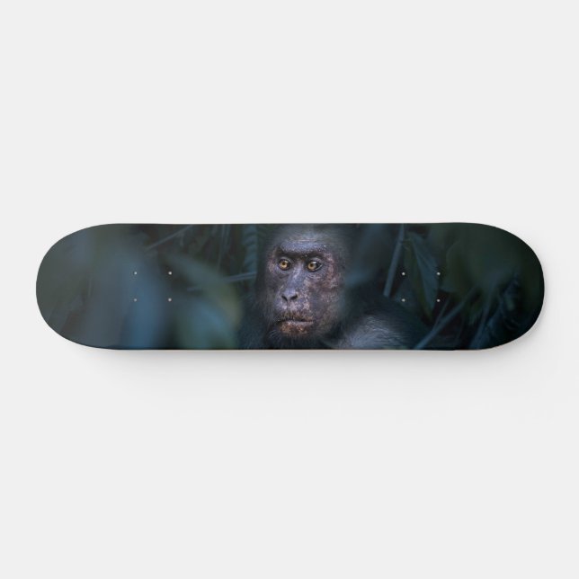 Monkey in the Jungle Skateboard (Horz)