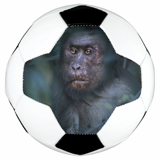 Monkey in the Jungle Soccer Ball (Front)