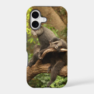 Monkey iPhone 5