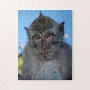 Monkey Jigsaw Puzzle