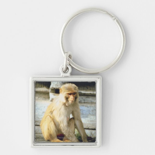 Monkey Key Ring (Front)