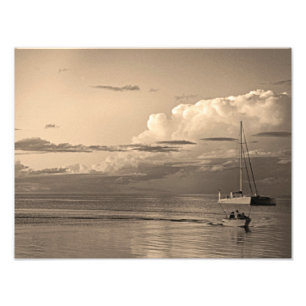 Monkey Mia Photo Print