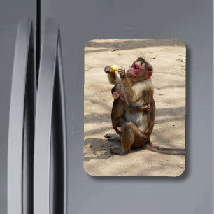 Monkey - Mothers Breakfast Magnet